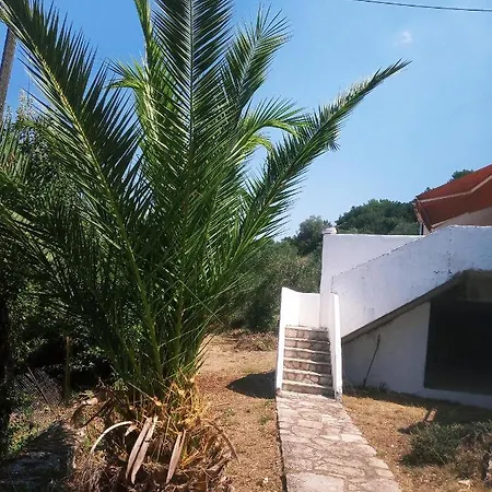 Vacation House Villa *